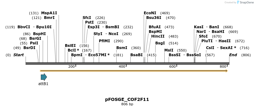 131764_map