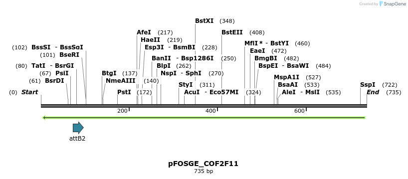131765_map