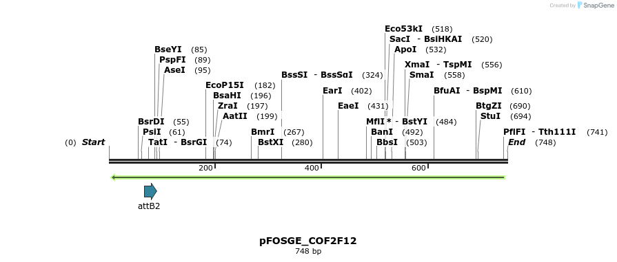 131766_map