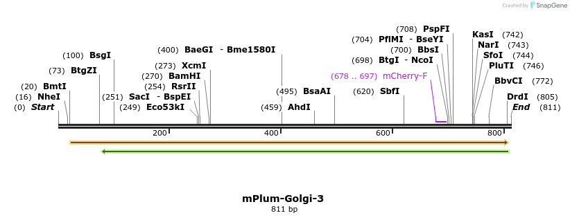 131767_map