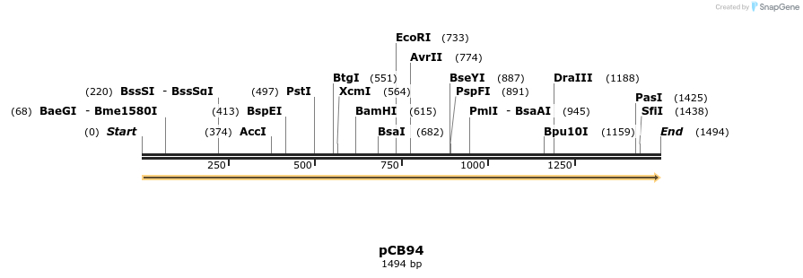 131769_map