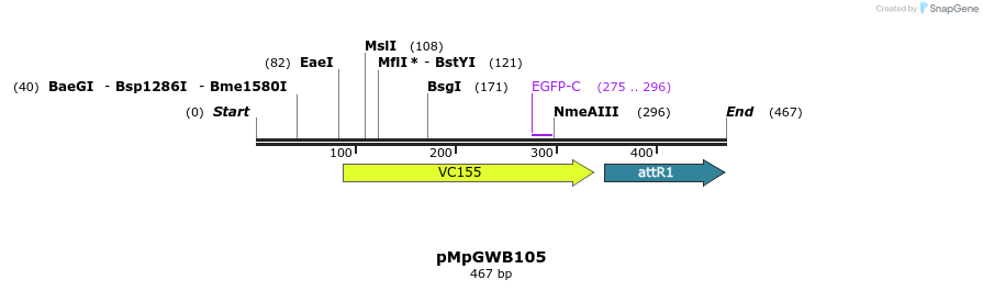 131778_map