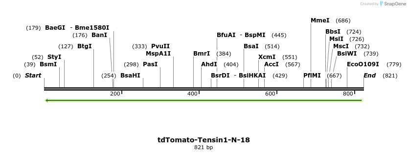 131779_map