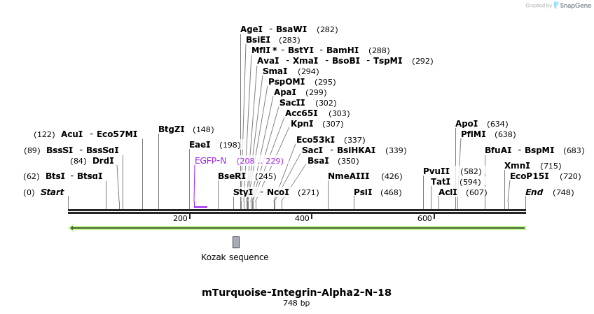 131780_map