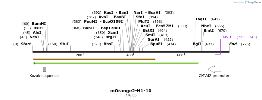 131781_map