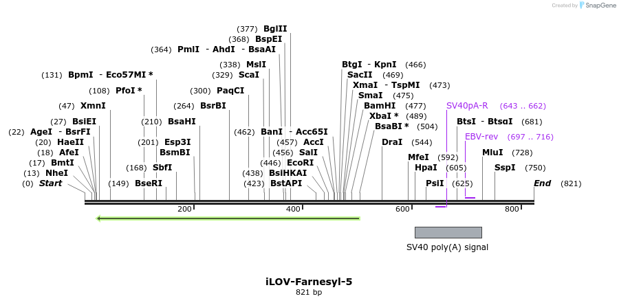 131782_map