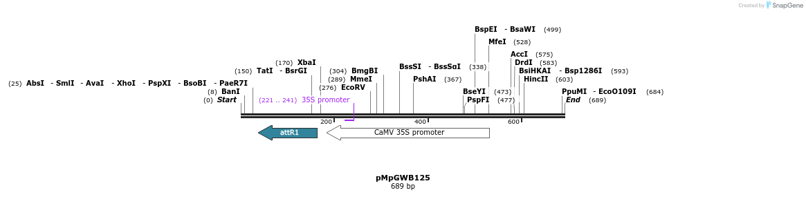 131784_map