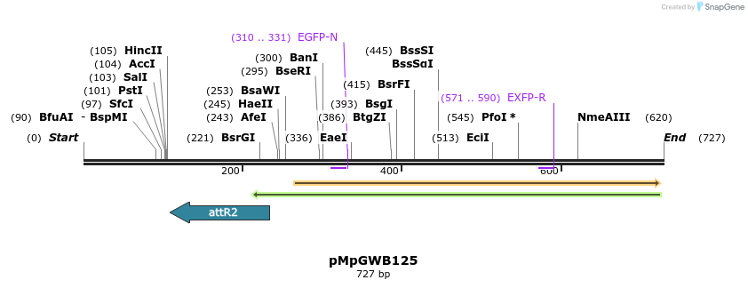 131785_map