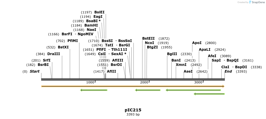 131786_map