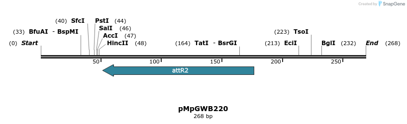 131789_map