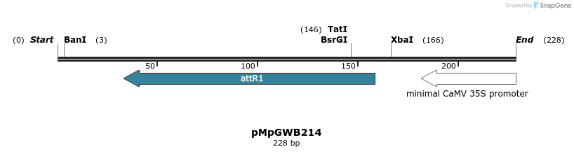 131790_map
