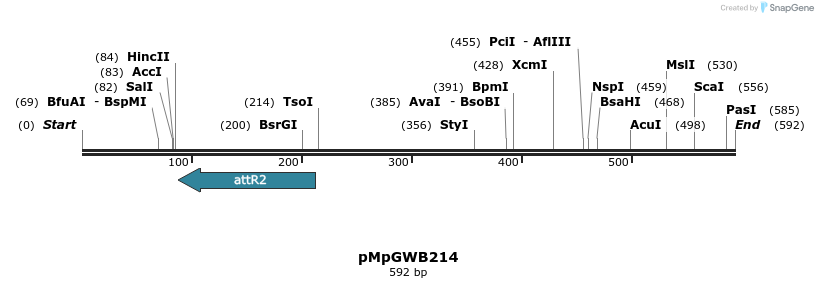 131792_map