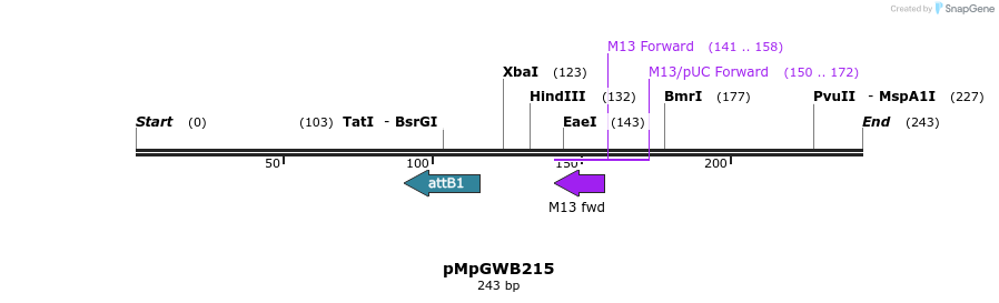 131793_map
