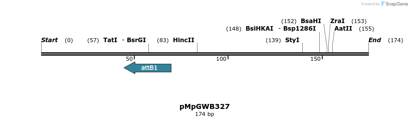131795_map