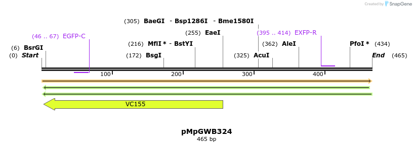 131797_map