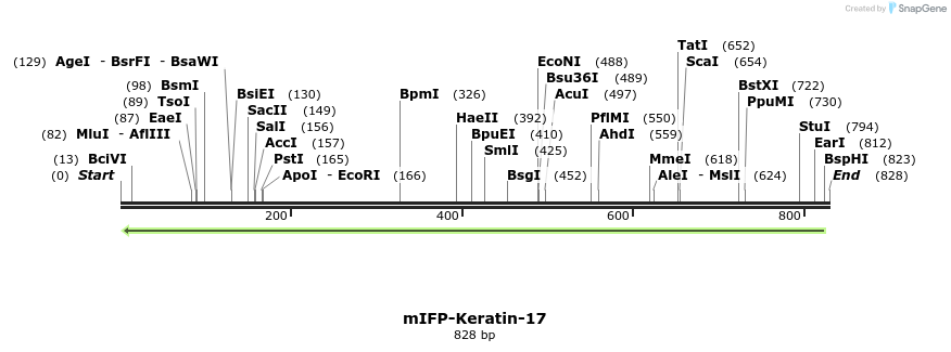 131800_map
