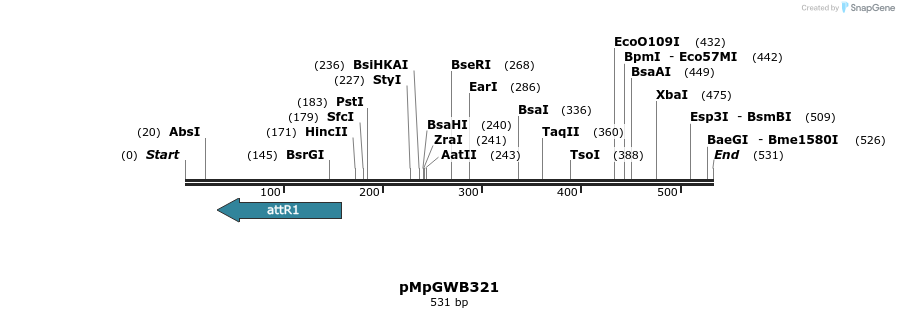 131801_map