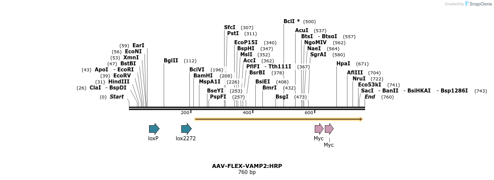 131802_map