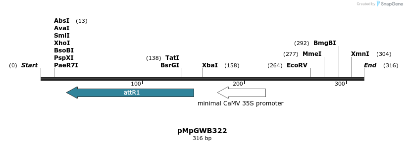 131804_map