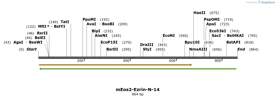 131808_map