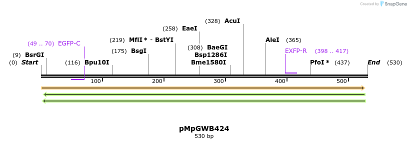 131810_map
