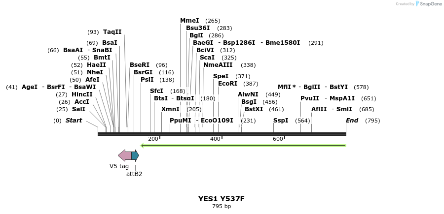 131811_map