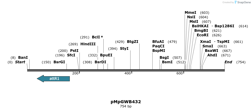 131813_map