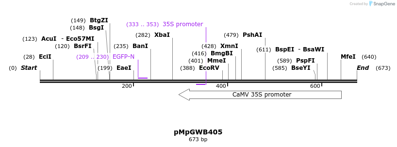 131818_map
