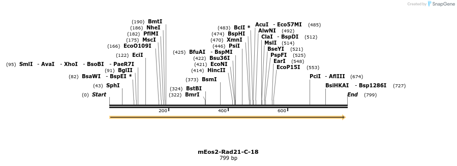 131825_map