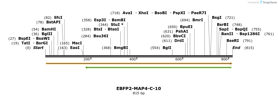 131827_map