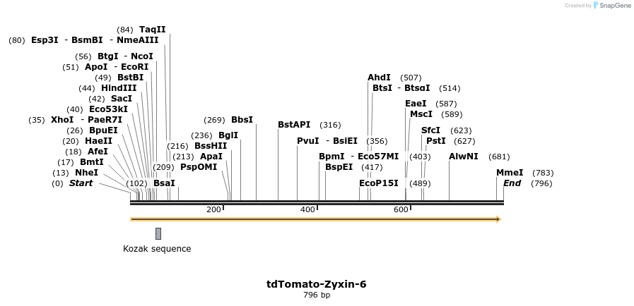 131828_map