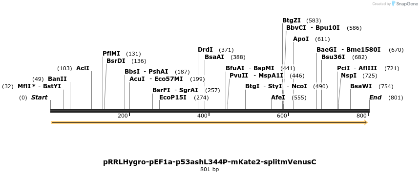 131829_map