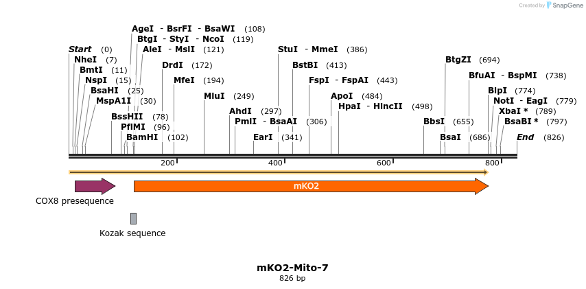 131830_map