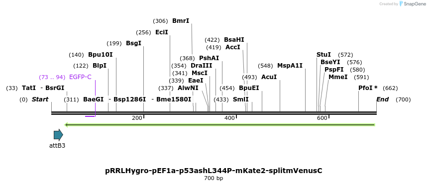 131831_map