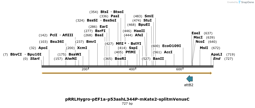 131832_map