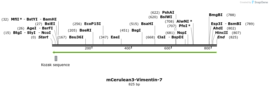 131833_map