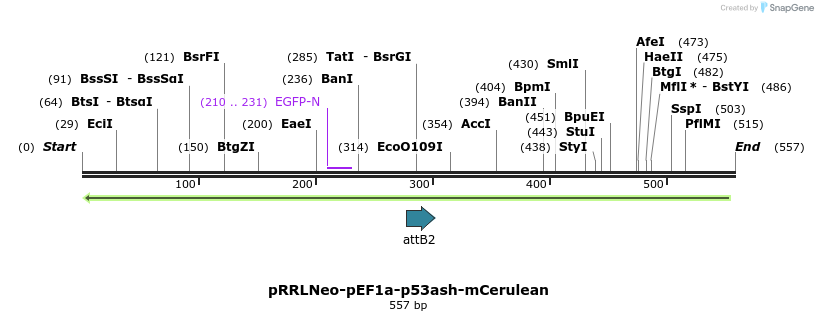 131834_map