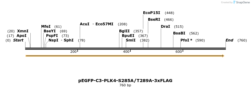 131839_map