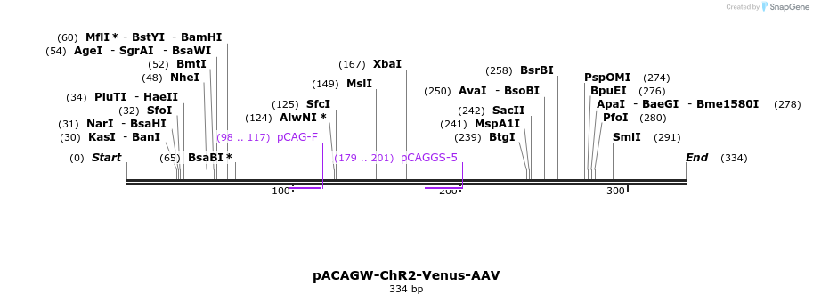 131842_map