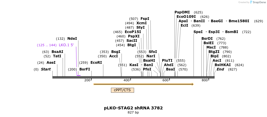 131846_map
