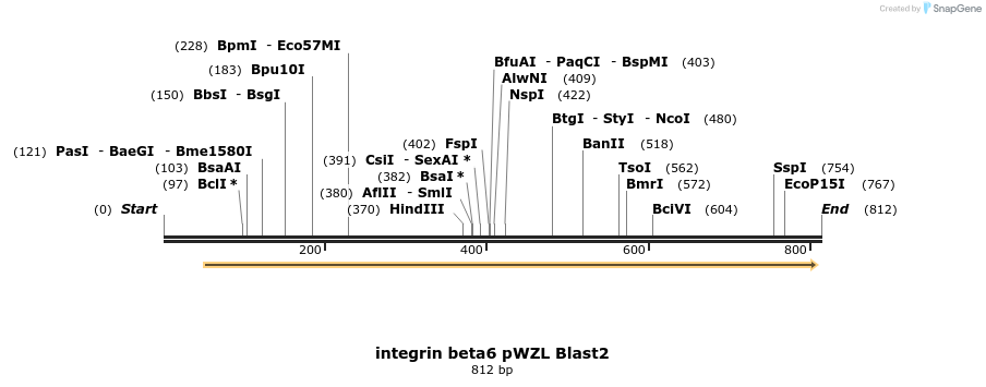131848_map