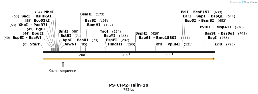 131849_map