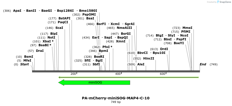 131851_map