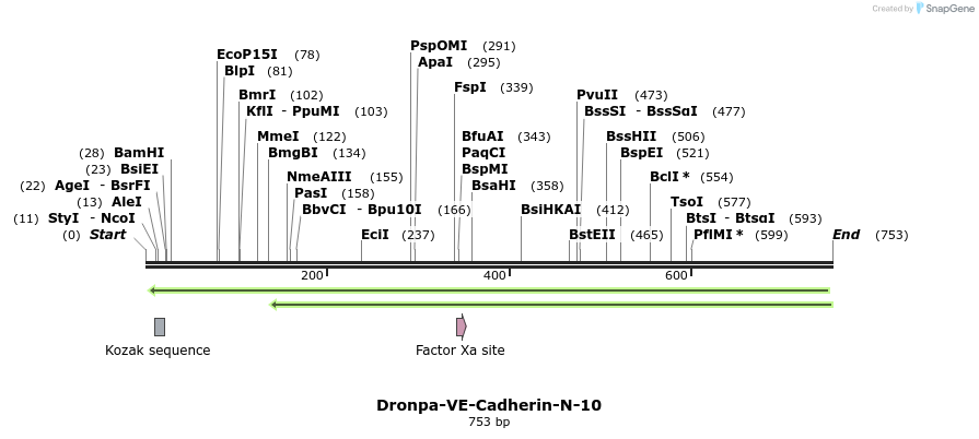 131852_map