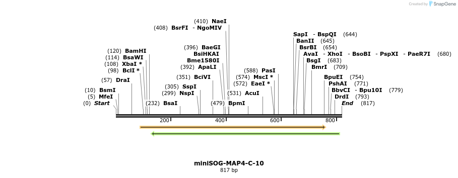 131854_map