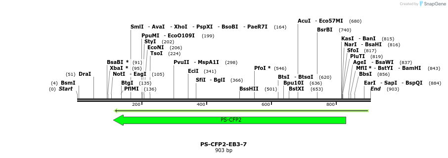 131855_map