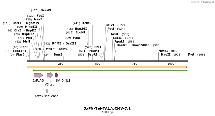 131879_map