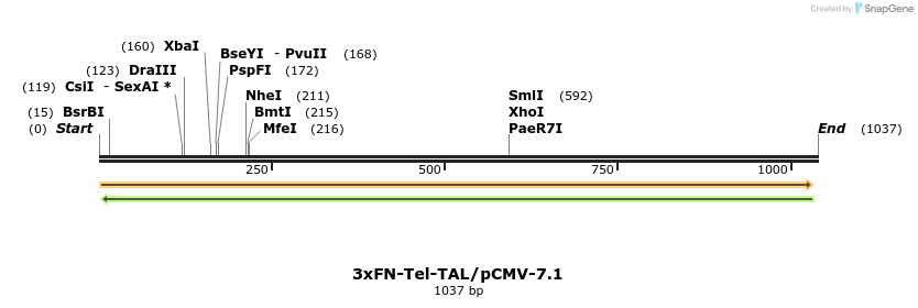 131881_map