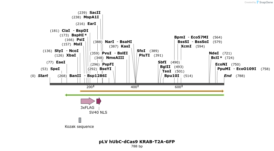 131894_map