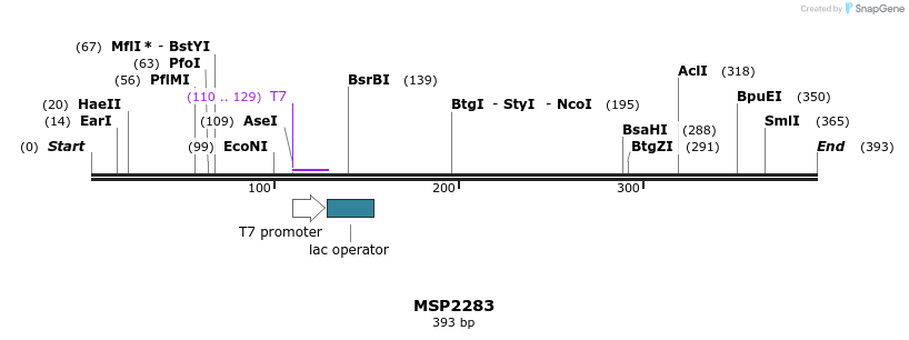 131899_map